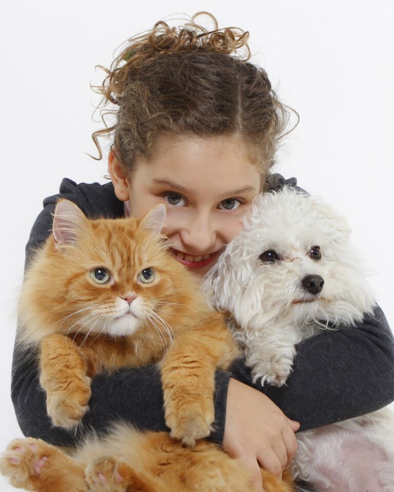 Castração em cães e gatos: o que você precisa saber